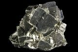 Cubic Pyrite Cluster - Peru #69583-1